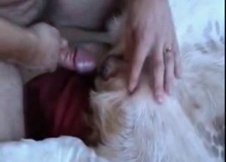 Fingering my doggy anal hole