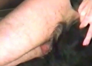 Anal sex with my trained doggy