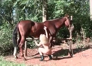 Pony and blonde in the barn bestiality