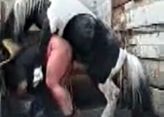 Awesome mare in the nasty as fuck bestiality porn