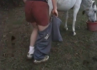 Horse becomes so freaking horny