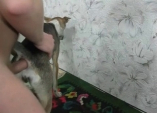 Man with big dick owned his own doggy